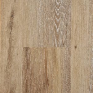 Hoomline Ambassador 55 V4 026 Minnesota